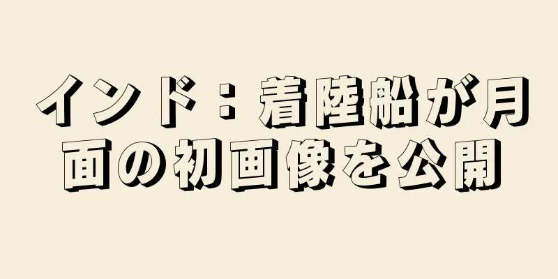 インド：着陸船が月面の初画像を公開