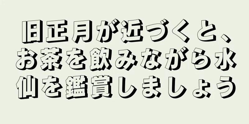 旧正月が近づくと、お茶を飲みながら水仙を鑑賞しましょう