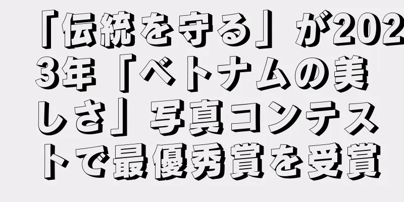 「伝統を守る」が2023年「ベトナムの美しさ」写真コンテストで最優秀賞を受賞