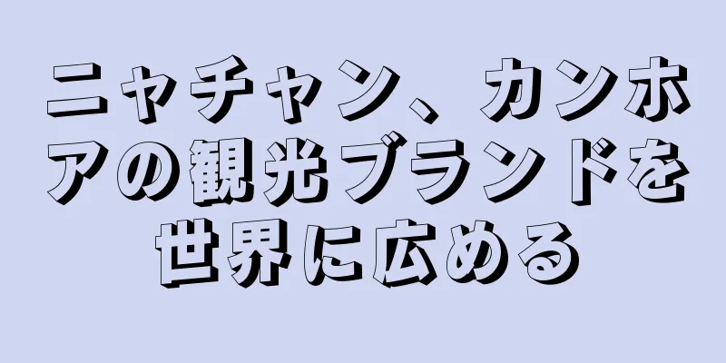 ニャチャン、カンホアの観光ブランドを世界に広める