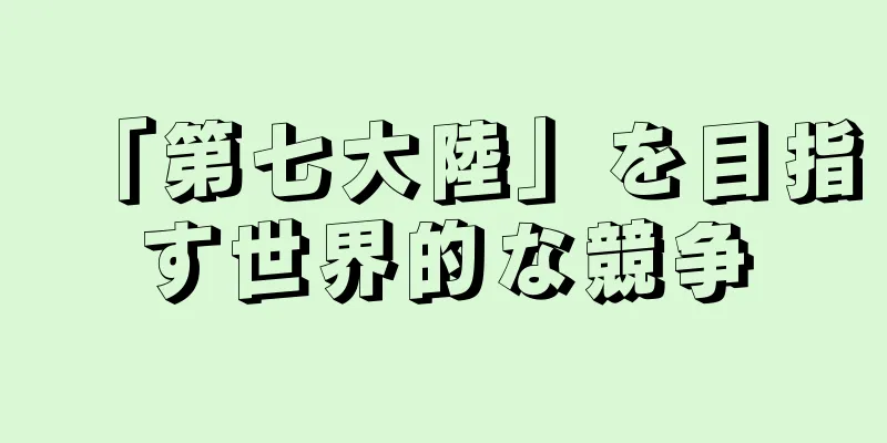 「第七大陸」を目指す世界的な競争
