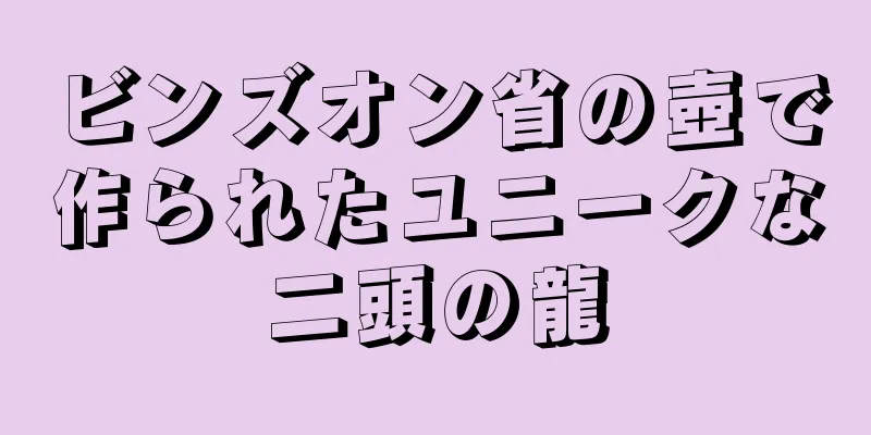 ビンズオン省の壺で作られたユニークな二頭の龍