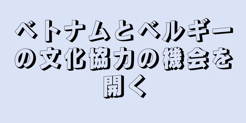 ベトナムとベルギーの文化協力の機会を開く