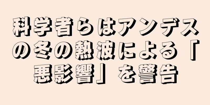 科学者らはアンデスの冬の熱波による「悪影響」を警告