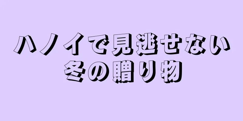 ハノイで見逃せない冬の贈り物