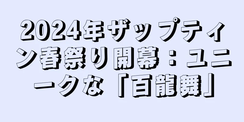 2024年ザップティン春祭り開幕：ユニークな「百龍舞」