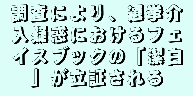 調査により、選挙介入疑惑におけるフェイスブックの「潔白」が立証される