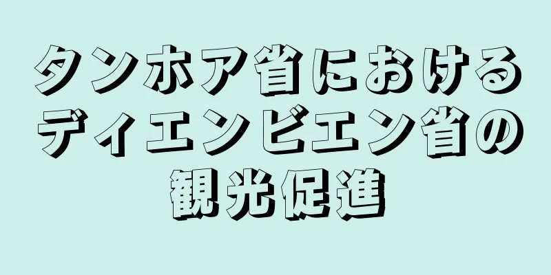 タンホア省におけるディエンビエン省の観光促進