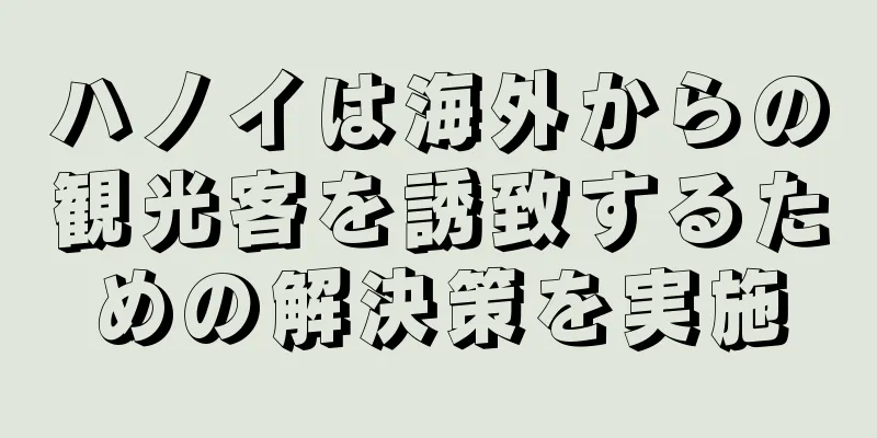 ハノイは海外からの観光客を誘致するための解決策を実施