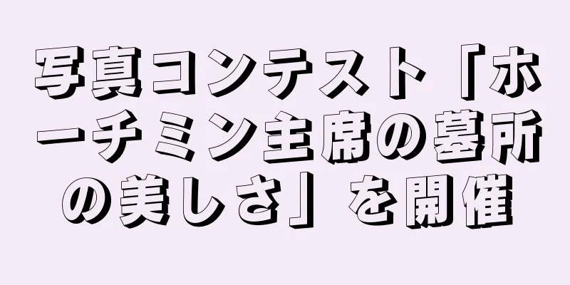 写真コンテスト「ホーチミン主席の墓所の美しさ」を開催