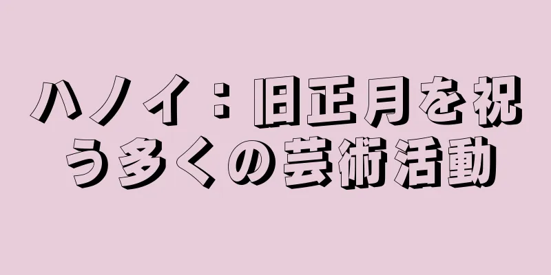 ハノイ：旧正月を祝う多くの芸術活動