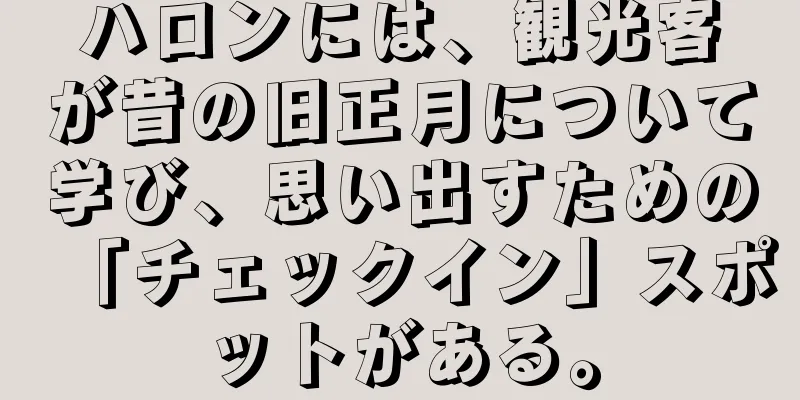 ハロンには、観光客が昔の旧正月について学び、思い出すための「チェックイン」スポットがある。