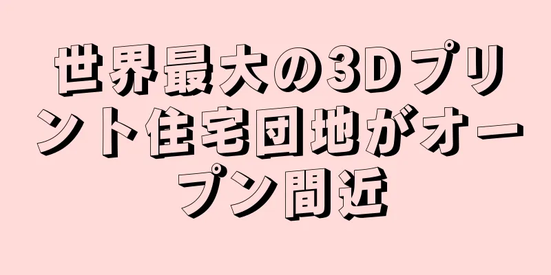 世界最大の3Dプリント住宅団地がオープン間近