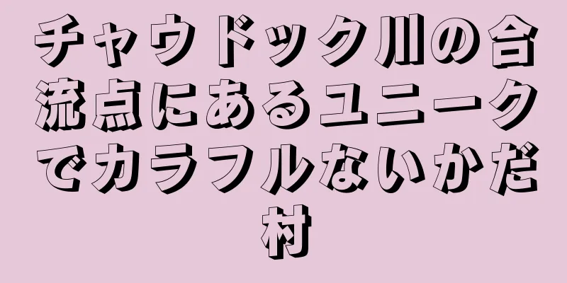 チャウドック川の合流点にあるユニークでカラフルないかだ村