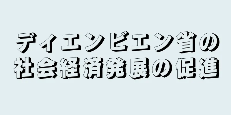 ディエンビエン省の社会経済発展の促進