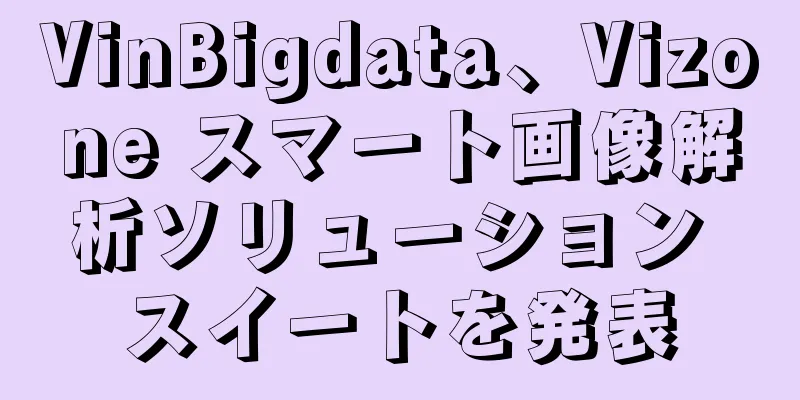 VinBigdata、Vizone スマート画像解析ソリューション スイートを発表