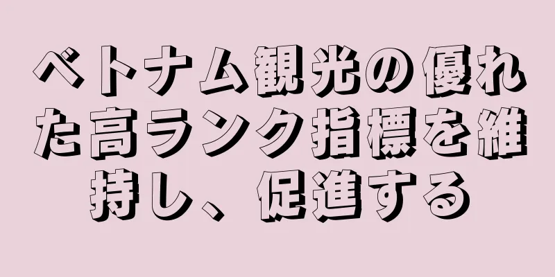 ベトナム観光の優れた高ランク指標を維持し、促進する