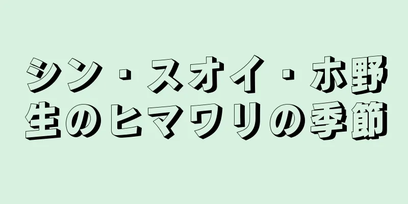 シン・スオイ・ホ野生のヒマワリの季節