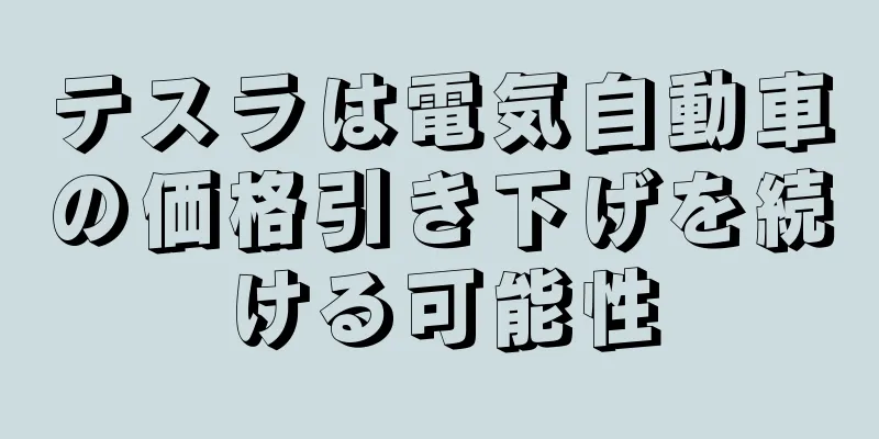 テスラは電気自動車の価格引き下げを続ける可能性