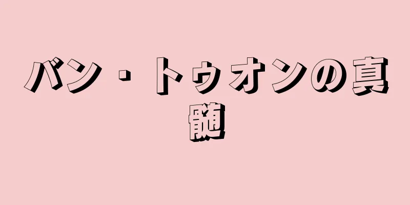 バン・トゥオンの真髄