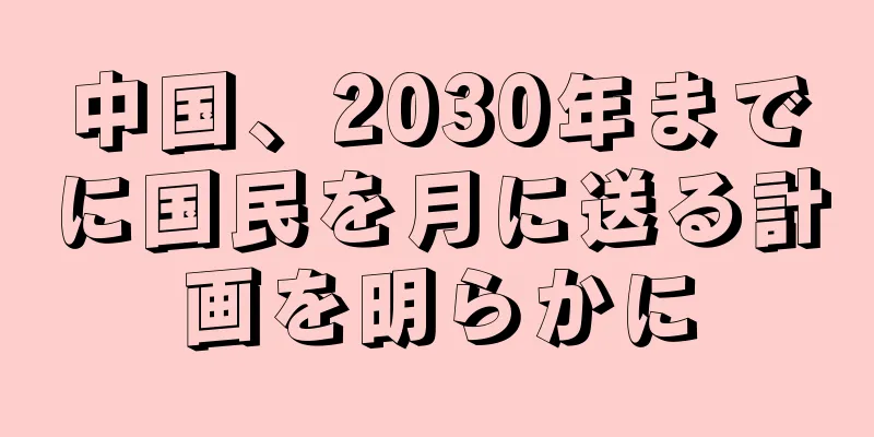 中国、2030年までに国民を月に送る計画を明らかに