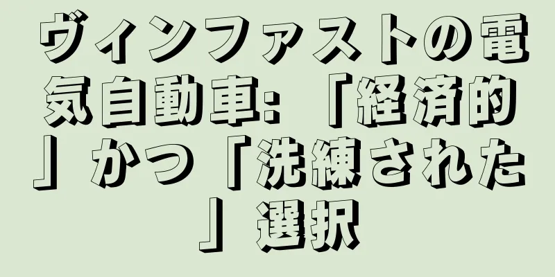 ヴィンファストの電気自動車: 「経済的」かつ「洗練された」選択
