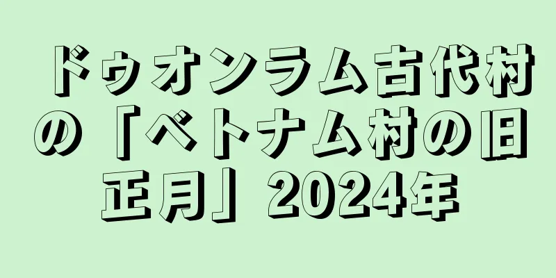 ドゥオンラム古代村の「ベトナム村の旧正月」2024年