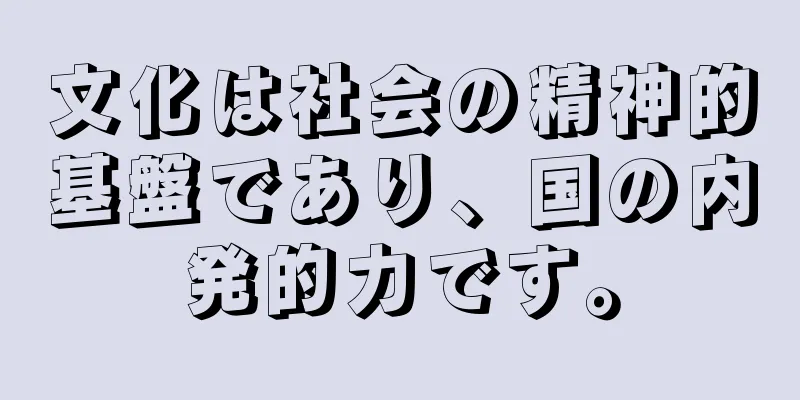 文化は社会の精神的基盤であり、国の内発的力です。