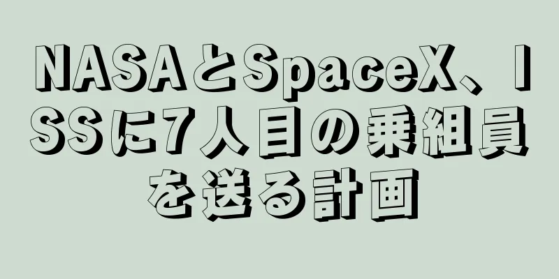 NASAとSpaceX、ISSに7人目の乗組員を送る計画