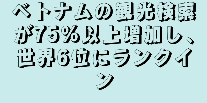 ベトナムの観光検索が75%以上増加し、世界6位にランクイン