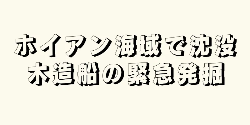 ホイアン海域で沈没木造船の緊急発掘