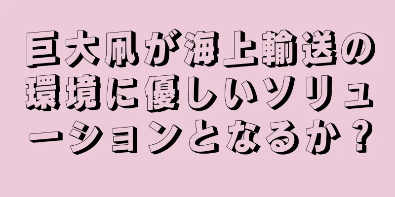巨大凧が海上輸送の環境に優しいソリューションとなるか？