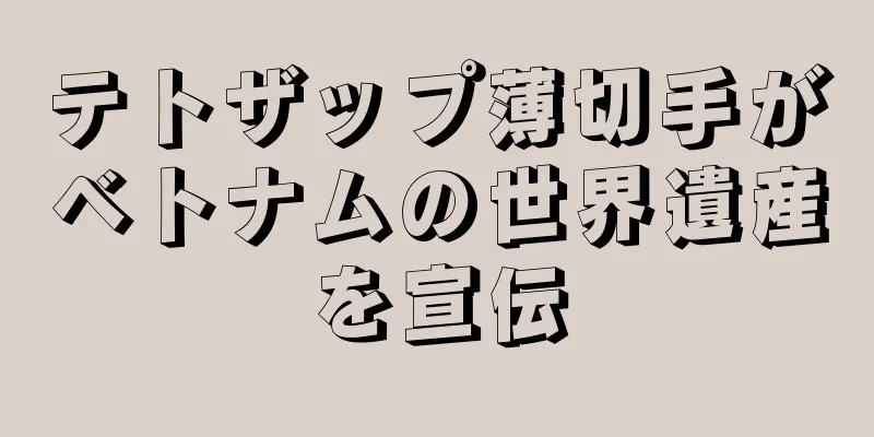 テトザップ薄切手がベトナムの世界遺産を宣伝