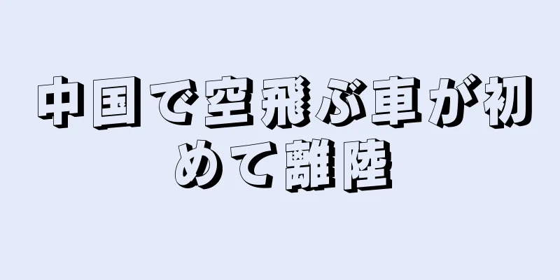中国で空飛ぶ車が初めて離陸