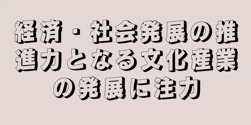 経済・社会発展の推進力となる文化産業の発展に注力