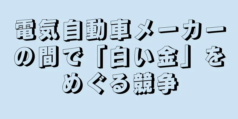 電気自動車メーカーの間で「白い金」をめぐる競争