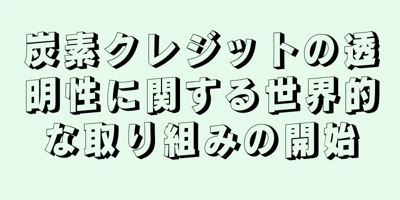 炭素クレジットの透明性に関する世界的な取り組みの開始