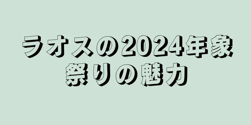 ラオスの2024年象祭りの魅力
