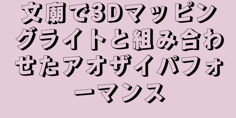 文廟で3Dマッピングライトと組み合わせたアオザイパフォーマンス