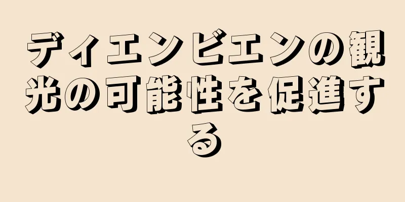 ディエンビエンの観光の可能性を促進する