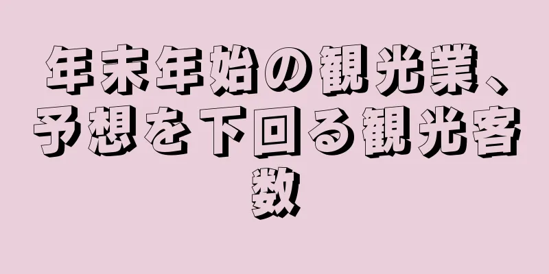 年末年始の観光業、予想を下回る観光客数