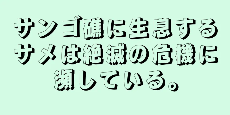 サンゴ礁に生息するサメは絶滅の危機に瀕している。