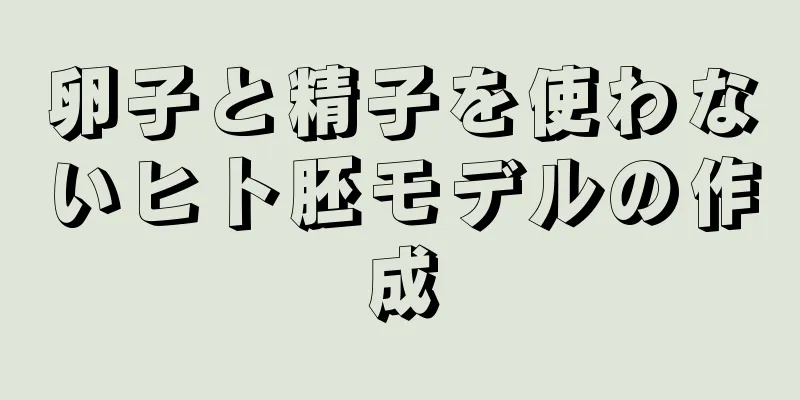 卵子と精子を使わないヒト胚モデルの作成