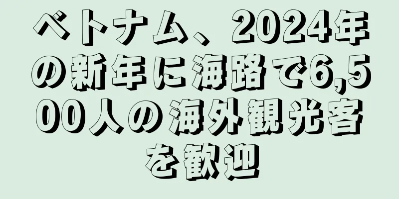 ベトナム、2024年の新年に海路で6,500人の海外観光客を歓迎