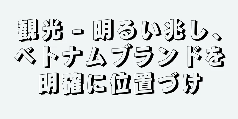 観光 - 明るい兆し、ベトナムブランドを明確に位置づけ