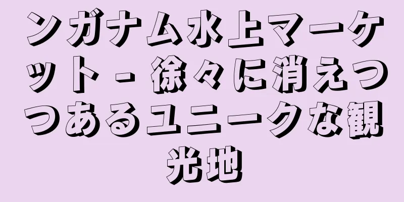 ンガナム水上マーケット - 徐々に消えつつあるユニークな観光地