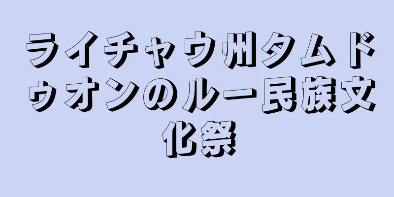 ライチャウ州タムドゥオンのルー民族文化祭