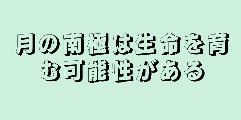 月の南極は生命を育む可能性がある