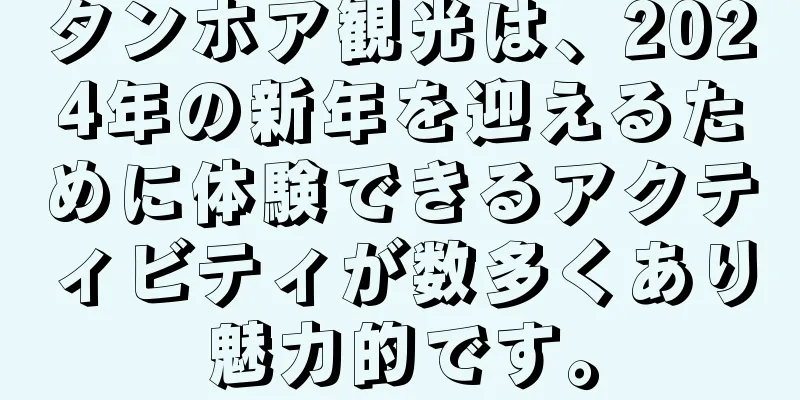 タンホア観光は、2024年の新年を迎えるために体験できるアクティビティが数多くあり魅力的です。