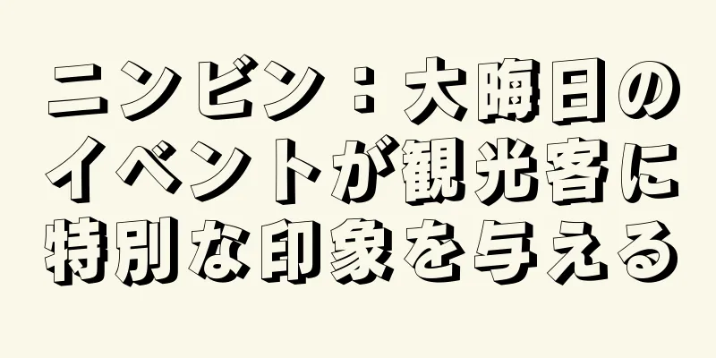 ニンビン：大晦日のイベントが観光客に特別な印象を与える